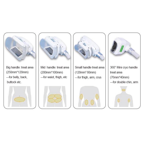 1600w 5 Handles Cryolipolysis Slimming Machine 360 Degree Cryo Shape Machine
