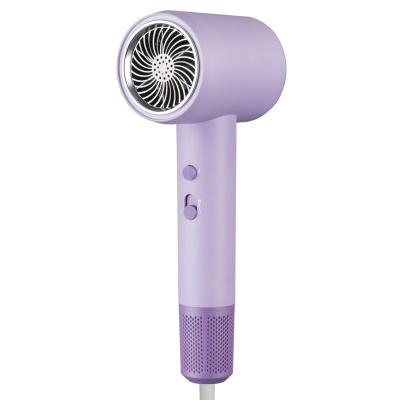 2000W Secador de cabelo profissional de baixo ruído silencioso iões negativos
