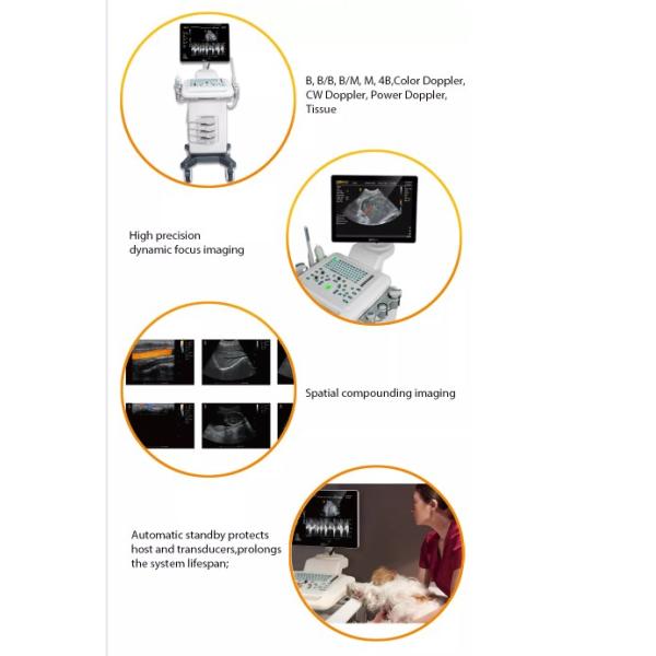 BPU90 Color Doppler Ultrasound System Trolley stand Ultrasound Machine veterinary ultrasound for pets