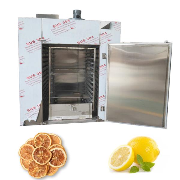 ISO Commercial Hot Fruit Food Cabinet Dryer Mango Lemon Dehydrator