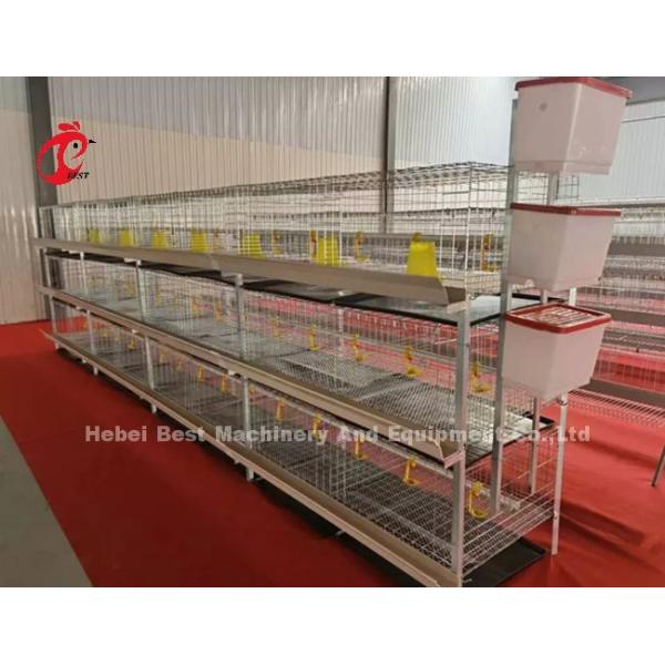 A Type Broiler Chicken Cage And Farm Poultry House Building Design Mia