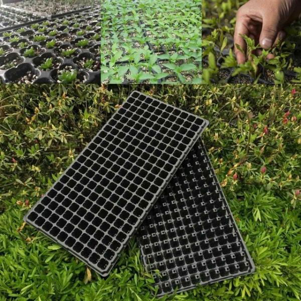 various kind holes plastic Plant Growing generation Trays plastic growing trays for you to plant planters