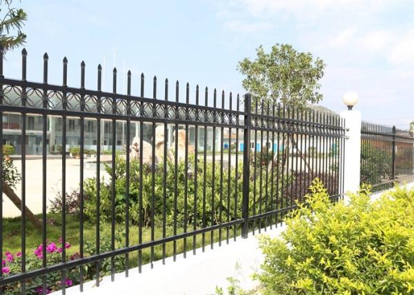 Various Size Decorative Ornamental Steel Fence For Residential , Weather Proof