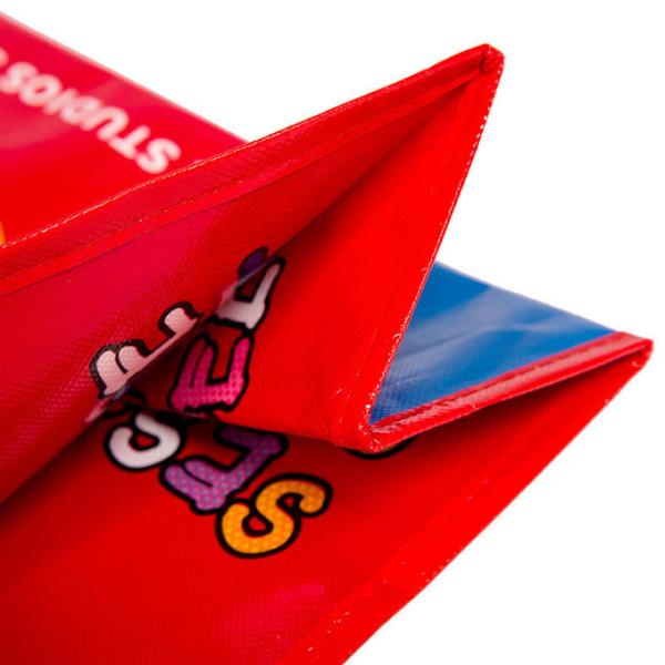 Reusable Blue Shopping Non Woven Packaging Bags