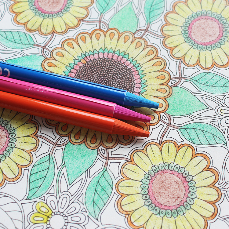 Profession Customize Colorful Artist Pastel Woodless Color Pencils