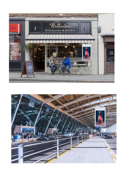 Full High Definition LCD Advertising Display With High Brightness 350/700 Nits