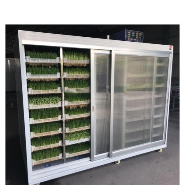 Машины для гидропонического кормления животных Системы гидропонического выращивания в теплицах