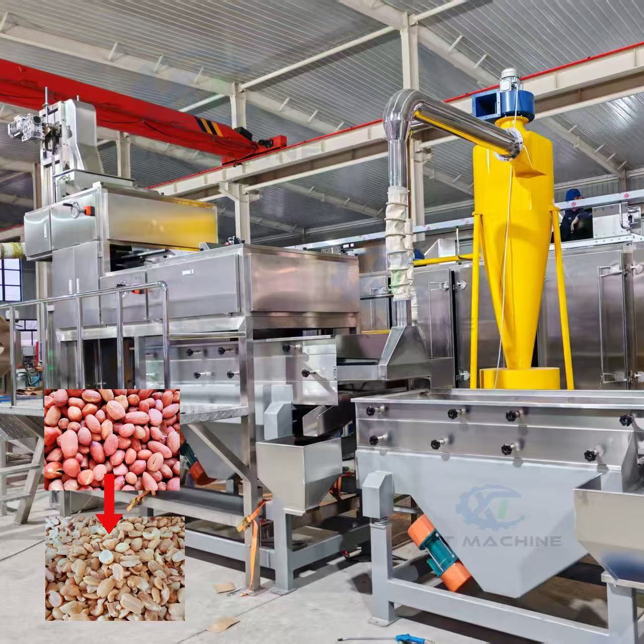 Customizable Split Nut Blanching Machine 800-1000kg/h Stainless Steel Roasted Peanut Peeling Machine ISO CE
