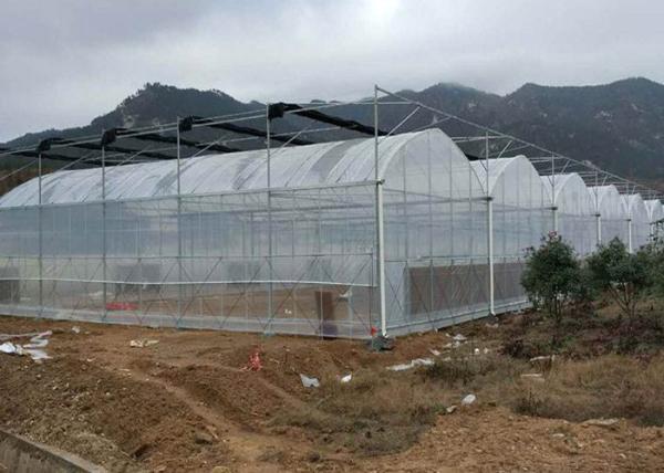 Agricultural Multi Span 10m 200 Micron Ldpe UV Film Greenhouse