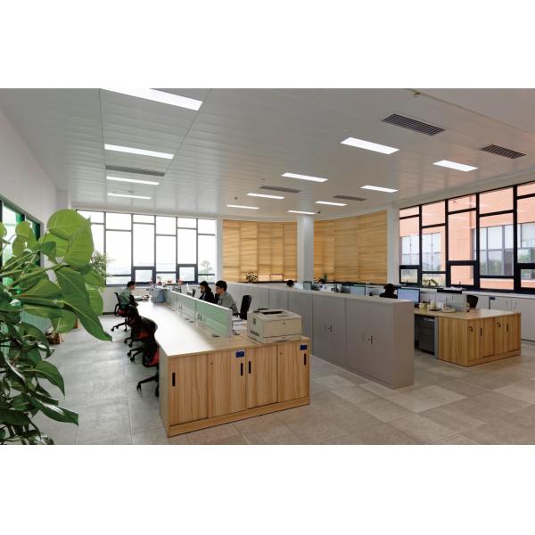 Изготовленная на заказ мозаика печати, часть мозаики детей животная бумажная