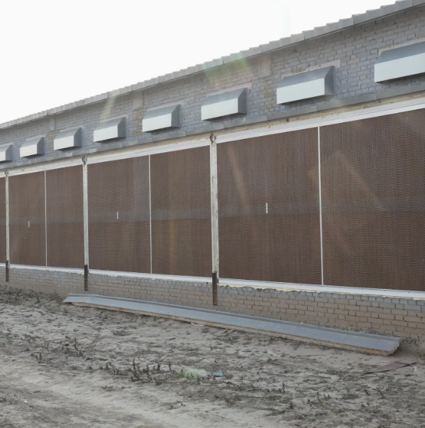 Heavy Duty Steel Chicken Coop with Flexible Layout Design and Galvanized Steel Construction