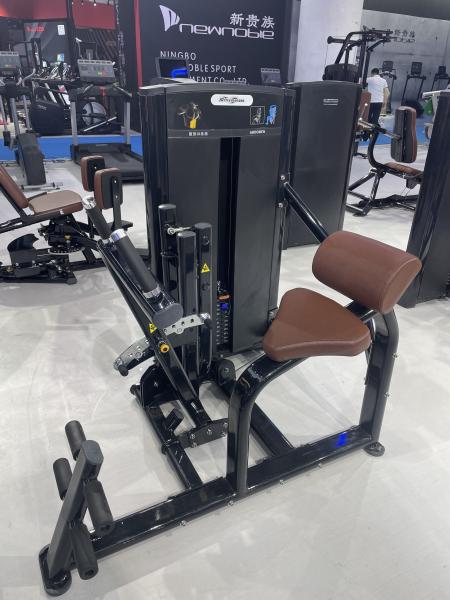 Dual Function Gym Equipment For Strength Training Steel Back Extension Abdominal Machine