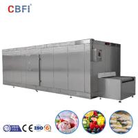 Iqf congelador de túnel rápido de frutas y verduras congeladas Equipo de fabricación de alimentos