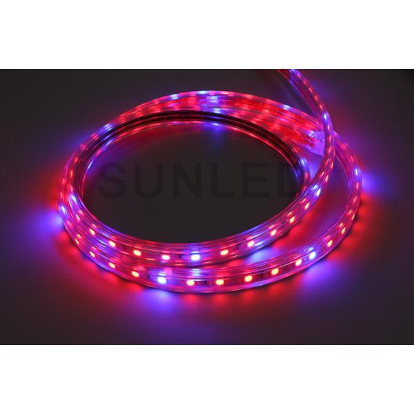 Plant Growth SMD5050 240lm Flexible Waterproof Led Strip