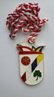 Single sided soft enamel casting NCC metal medallion in gold finish with strings metal medals