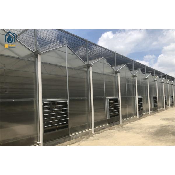 Commercial Polycarbonate Greenhouse Durable Metal Framed Greenhouse For Organic Vegetable Farming