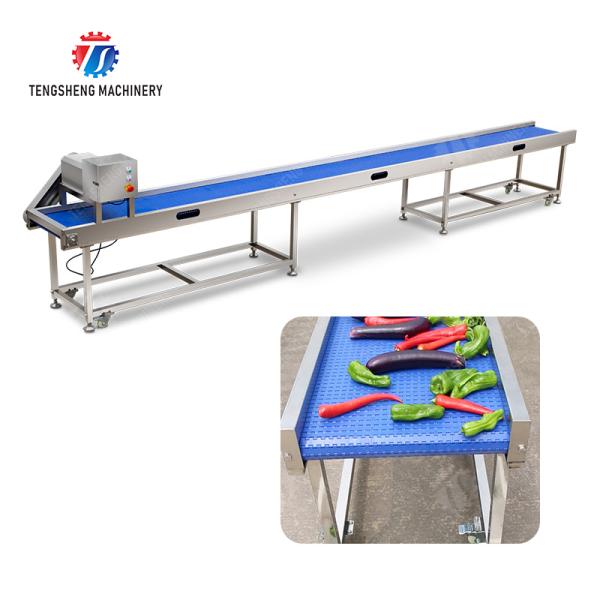 Fruit Vegetable sward beans soybeans green beans chickpeas beans red beans mung beans  green peas beans Saiko persimmon Potato Carrot radish onion chili eggplant Conveyor table