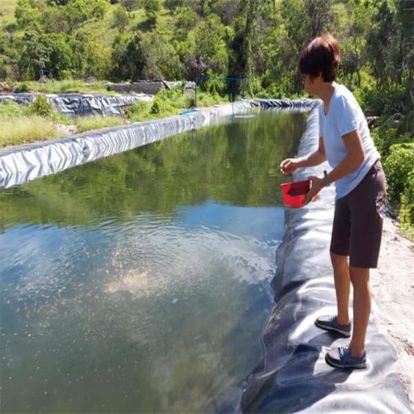 1 мм HDPE Геомембрана Рыбная прудовая подкладка водонепроницаемая прудовая подкладка 0,5 мм Черная Белая Зеленая Голубая