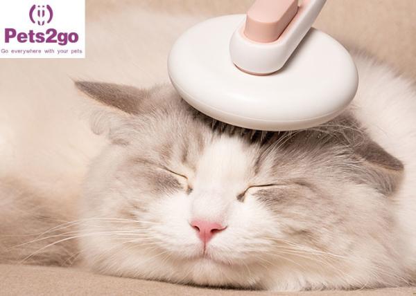Escova de limpeza do animal de estimação 79g do removedor 188x85x67mm do cabelo de Pets2Go
