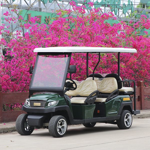 4+2 Seats Electric Golf Cart 48V/350A With Curtis Controller