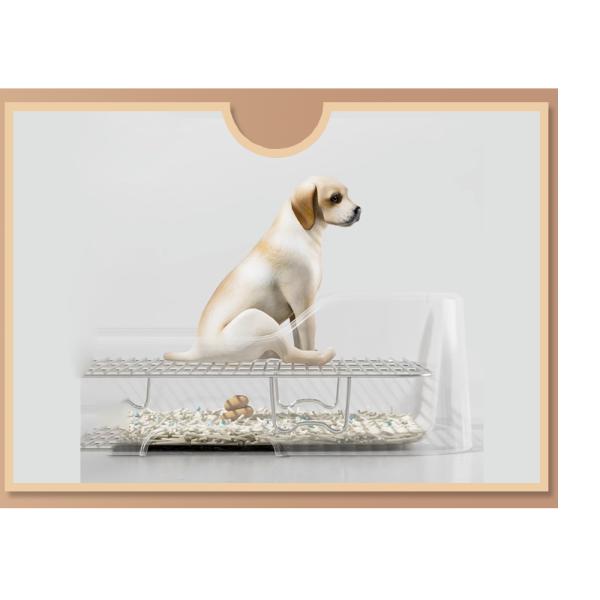 Convenient Indoor Dog Potty Tray No Leak Spill Protection Wall and Easy Clean Design