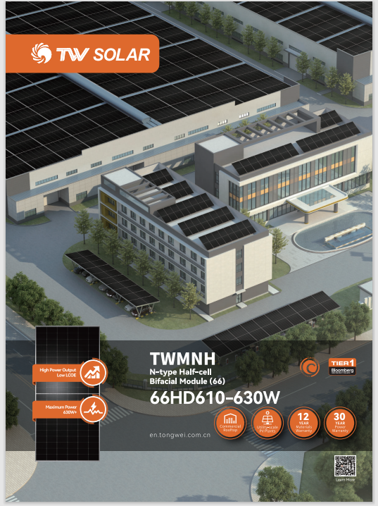 High Quality TW Photovoltaic Solar Panels TW 610W 615W 620W 625W 630W Solar Panels Topcon N-type Half-cellBifacial Module