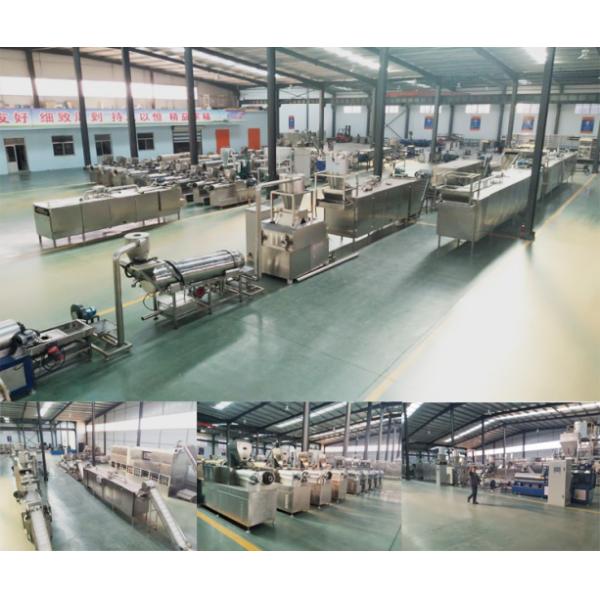 Full Production Line Pet Dog Food Extruder Processing Machine Made of Stainless Steel