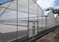 Serre sur mesure multi-étendue sans soudage pour la plantation de tubes en PVC NFT système hydroponique