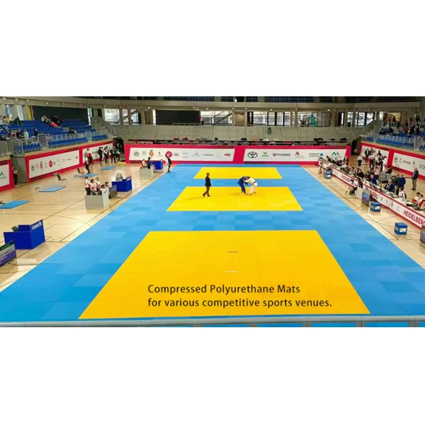 PU Mats 40mm 50mm Thickness for Arena Mats Taekwondo Martial Arts Karate Tatami Judo Mats for Martial Arts
