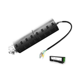 Φ76 Roller de motor de tração de alto binário 48V 300W Roller motorizado de