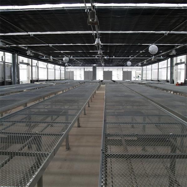 Poly Tunnel Small Light Dep Automatic Blackout Greenhouse 30 Feet*100 Feet