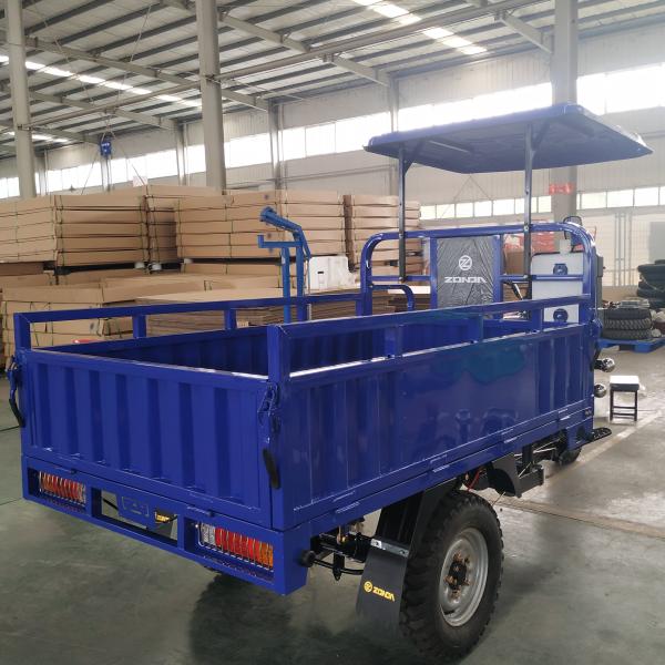 65000m/H 250cc 3 Wheel Motorbike With Roof