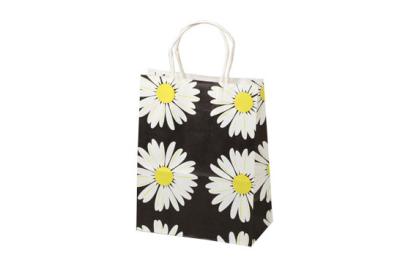 Retail paper bag 08