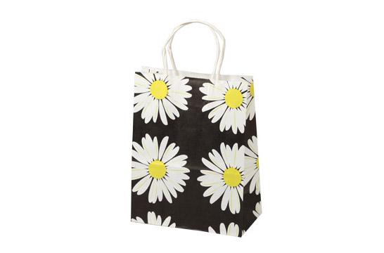 Retail paper bag 08