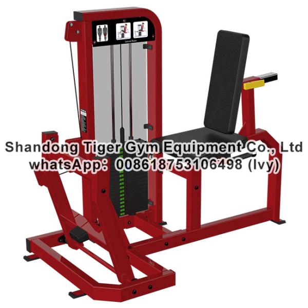 Gym Fitness Equipment Seated / Stand Calf Raise / Super Horizontal / Standing / Horizontal Calf exercise machine