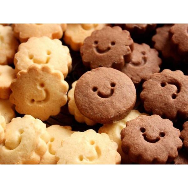 120g Protein Chocolate Cookies Biscuits High Energy Chips