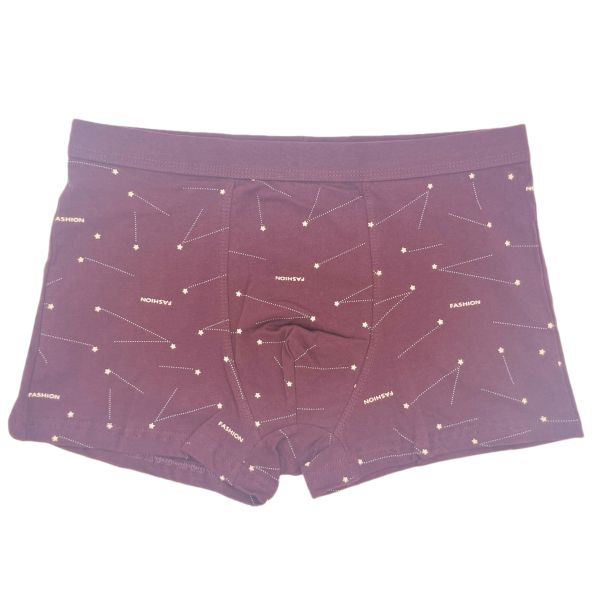 Fashion Pure Cotton Men's Brief Boxer Briefs Printed Plus Size Boxer Briefs for Men