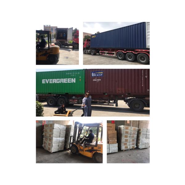 Городское уличное освещение Медвежье место для водителя Внешние светодиодные уличные фонари IP65 IK09 5000k Главное уличное освещение