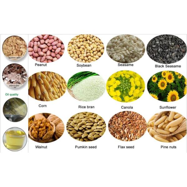 Большая машина Presser касторового масла экстрактора масла мустарда винта мотора с 15 Kw