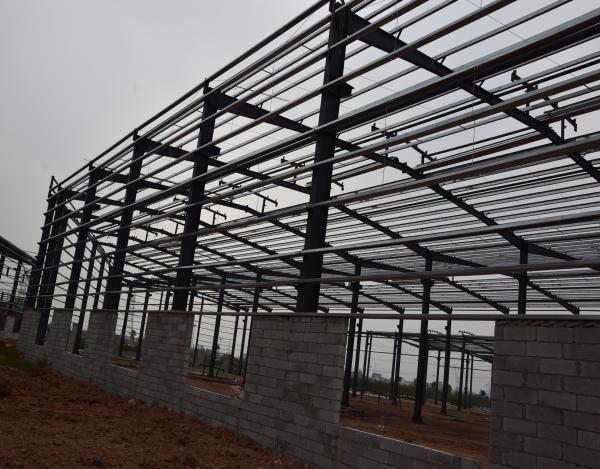 Fast Construction Steel Structure Storage Warehouse Building