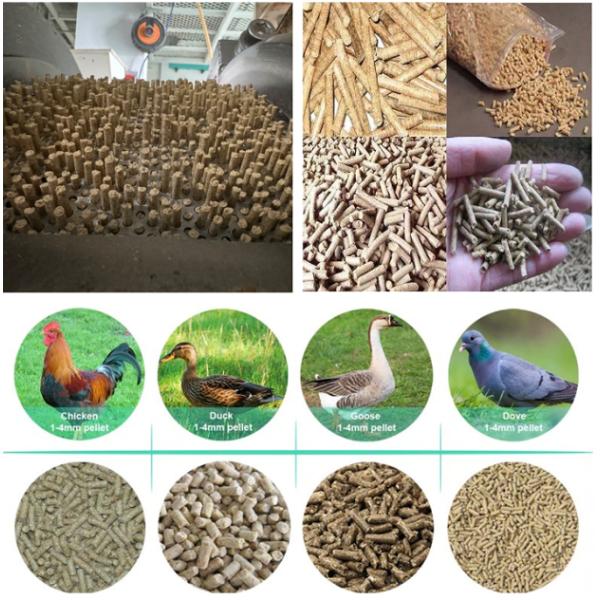 Хром нержавеющей стали Пелетные матрицы для матадора M12 высокий с высокой устойчивостью к ударам