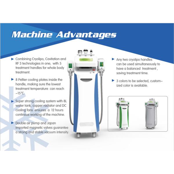5 handles Cryolipolysis slimming machine for slimming, fat reduce, celluite removal.