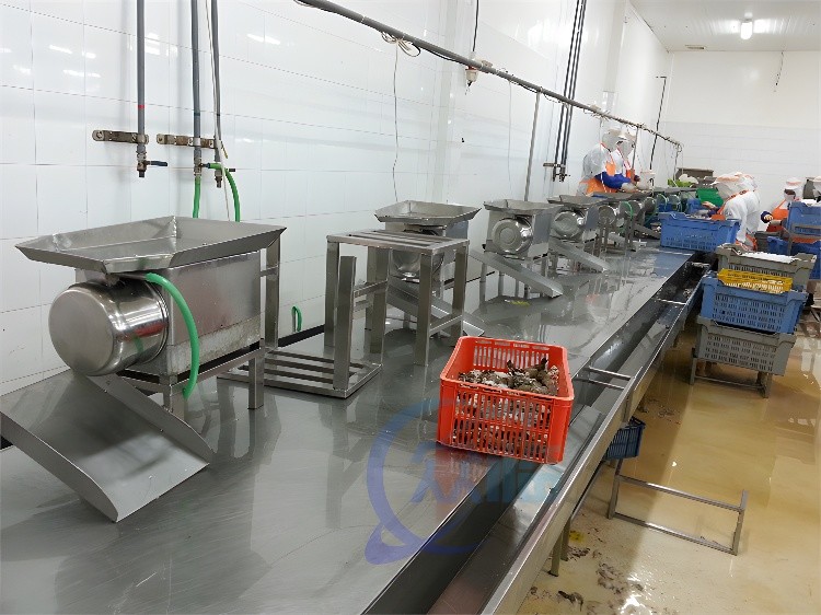 0.12KW стабильная креветка режущая машина многофункциональная 510x400x300 мм