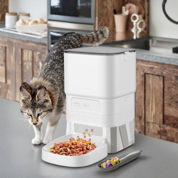New Arrival 4L Eco-friendly Plastic App Control Automatic Pet Feeder with Timer WiFi Battery Power for Cats & Dogs