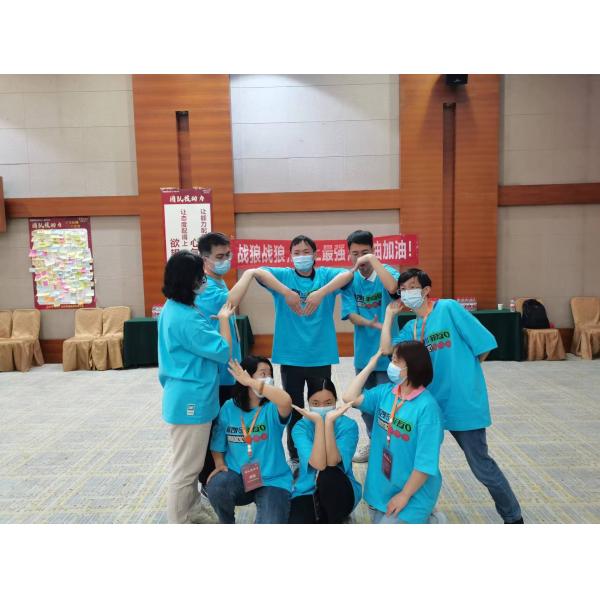 Shenzhen LDK Industrial Co., Ltd.