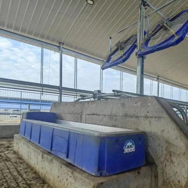 Convenient and Sturdy Built-in Temperature Control Cow Drinking Trough with 140L Capacity