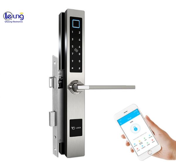 Cerradura inteligente WiFi con huella dactilar y acero inoxidable 304