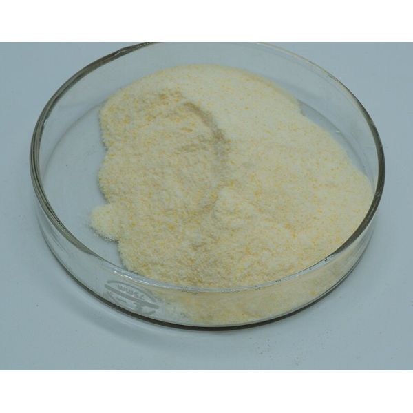 99% Activity Xylanase Enzyme Food Additive Water Soluble