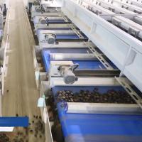 Máquina de triagem de castanha de câmera de alta resolução de várias pistas com alta eficiência e precisão
