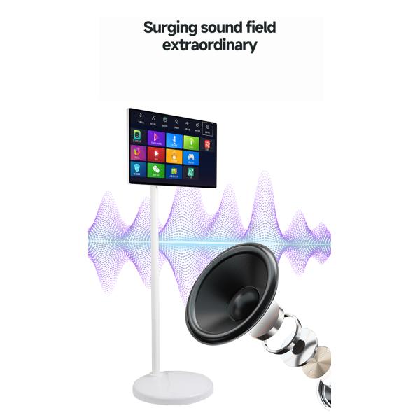 300 cd/M Smart Portable TV de 21,5 pulgadas IPS Portable Stand TV de 60Hz